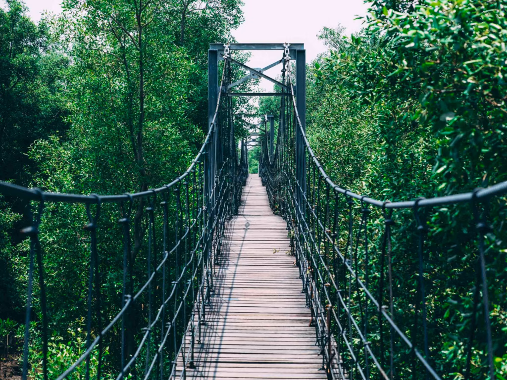 a-bridge-through-the-woods